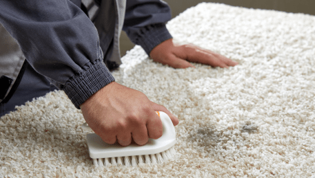 Professional Rug Cleaning Tullamarine